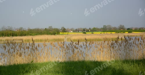 Preview: Fantastic Landscape At The Lake