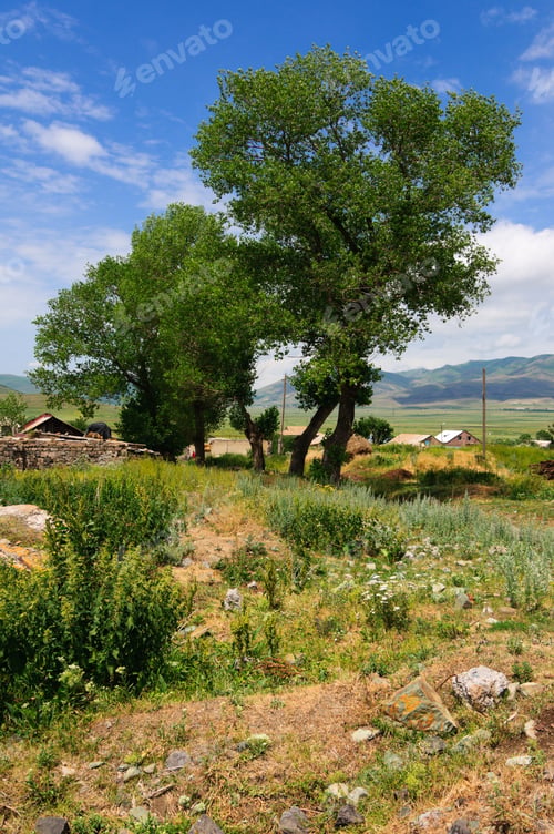 Preview: Rural Landscape