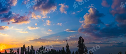 Preview: Great Sky Panorama For Big 3D Projects - Orange Clouds And The Outline Of Trees At Sunset