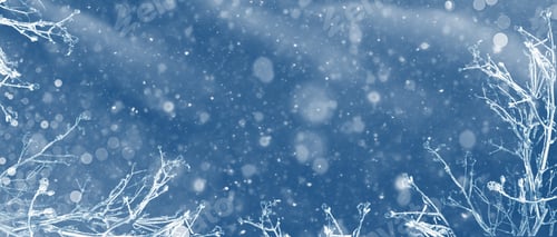 Preview: Frozen Winter Forest With Snow Covered Trees. Outdoor. Festive Christmas Card.
