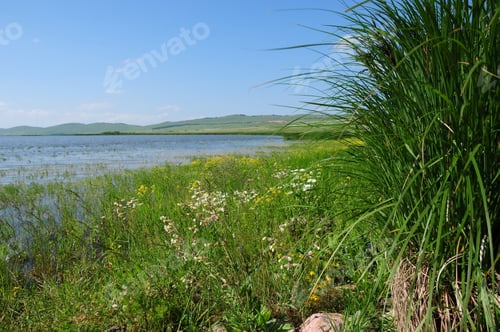 Preview: Serene Landscape