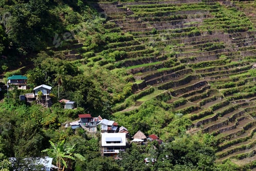 Preview: Philippines Rice Terraces - Rice Cultivation In Batad Village (Banaue Area). South East Asia.
