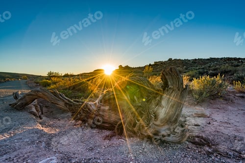 Preview: Arches National Park In Utah Usa