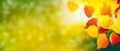 Preview: Autumn Landscape With Bright Colorful Leaves. Indian Summer.