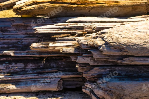 Preview: Driftwood, Washed Up By The Sea On A Pebble Beach