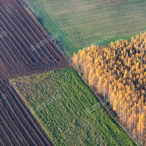 Preview: Aerial View Over The Colourful Trees And Fields In Autumn
