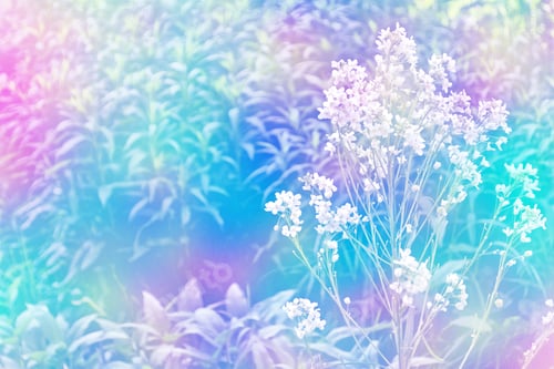 Preview: Daisy Flower Against The Background Of The Summer Landscape.