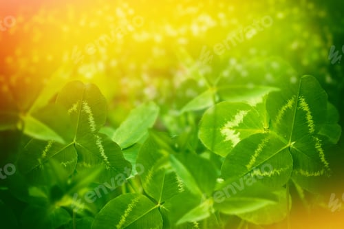 Preview: Green Clover Leaves On A Background Summer Landscape. St.Patrick 'S Day