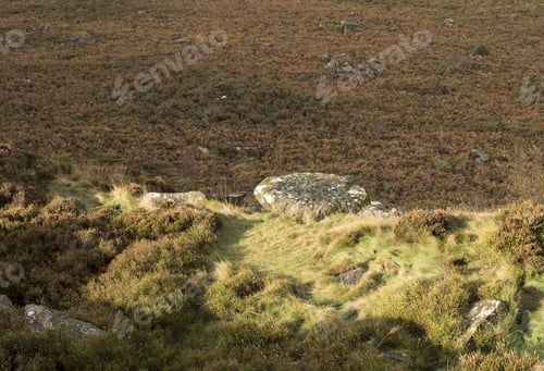 Preview: Derbyshire Dales