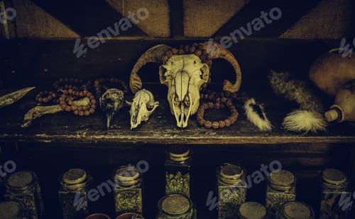 Preview: Goat Skulls For Terrifying Decoration, Halloween Detail, Witchcraft