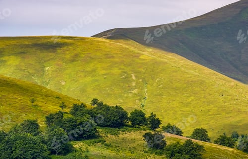 Preview: Lovely Mountain Landscape. Green Meadow Near The Forest On The Hillside In Carpathians