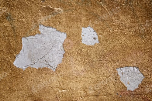 Preview: Front View Of An Blank Wall.