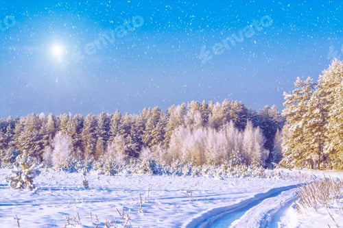 Preview: Road In The Forest. Winter Landscape. Snow Covered Trees.