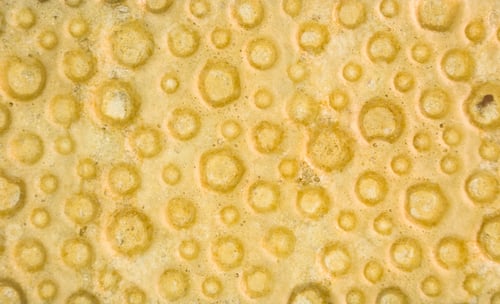 Preview: Diabetic Diet Crunches - Crispy Waffle Crispbread From Wheat, Texture