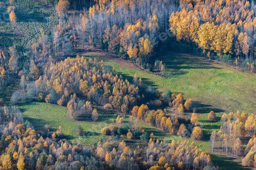 Preview: Aerial View Over The Colourful Trees And Fields In Autumn