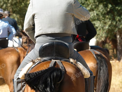 Preview: Horse Rider Close Up