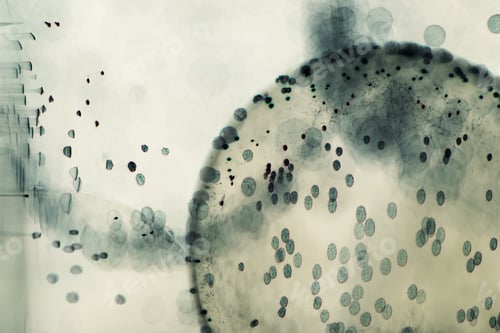 Preview: Abstract Underwater Games With Jelly Balls, Bubbles And Light