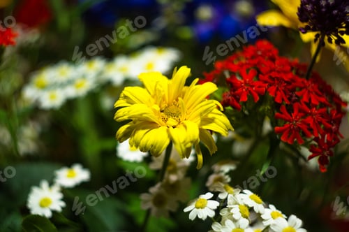 Preview: A Bouquet Of Bright Spring Flowers Of Various Types