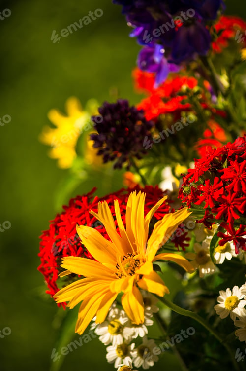 Preview: A Bouquet Of Bright Spring Flowers Of Various Types