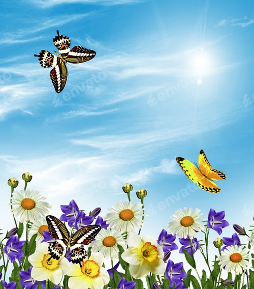 Preview: Summer Landscape. Bell Flower. Wildflowers Daisies And Bluebells. Butterfly;