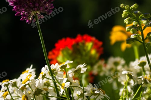 Preview: A Bouquet Of Bright Spring Flowers Of Various Types