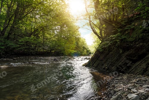 Preview: River Flow In Sunny Forest. Beautiful Summer Background