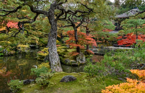 Preview: Foliage Landscape In Kyoto, Japan.