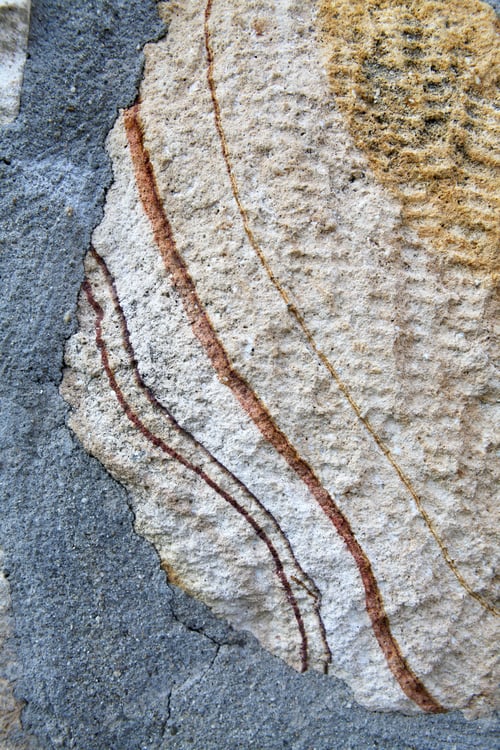 Preview: Rock Used In Building Walls - Texture