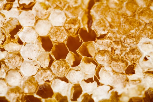 Preview: Honeycomb Filled With Honey - Details