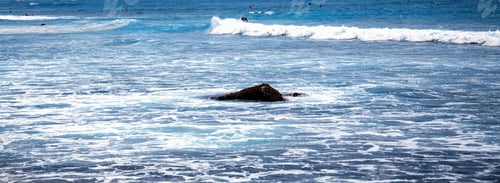Preview: Surfer On A Surfboard In The Sea Water Splash Blue Transparent Surf Fresh Ocean Water Background