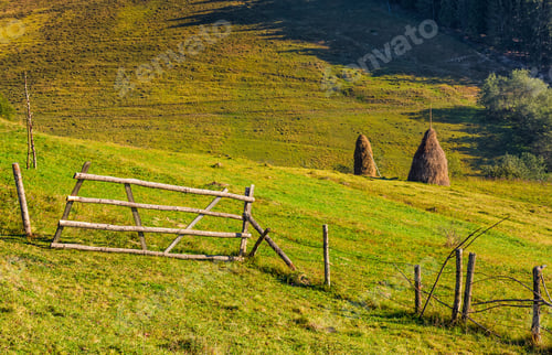 Preview: Hay Stacks Behind The Fence On Rural Field. Lovely Carpathian Countryside Landscape In Early Autumn
