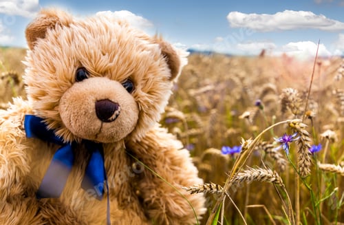 Preview: Teddy Bead Dranik In Summer Field