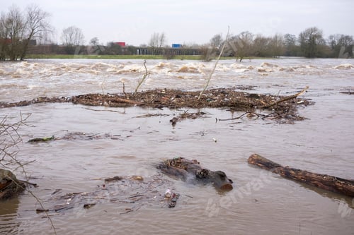 Preview: Flood Debris And Wood In A River