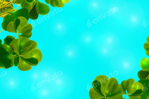 Preview: Green Clover Leaves On A Background Summer Landscape. St.Patrick 'S Day