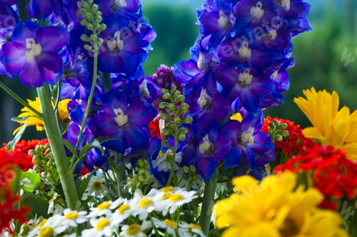 Preview: A Bouquet Of Bright Spring Flowers Of Various Types