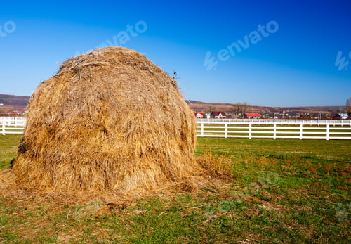 Preview: Yellow Hay Stack On A Meadow In The Countryside