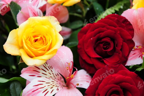 Preview: Beautiful Floral Arrangement
