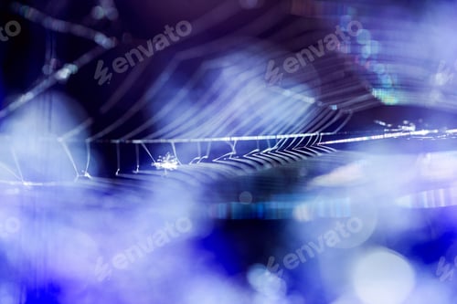 Preview: Abstract Composition With Spider Web Details And Natural Colors