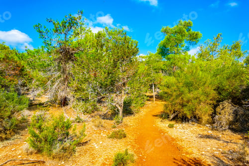 Preview: Dusty Road At Akamas Peninsula On Cyprus