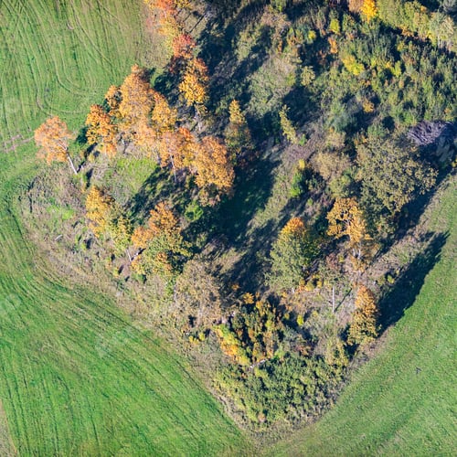 Preview: Aerial View Over The Bushes And Trees In Autumn