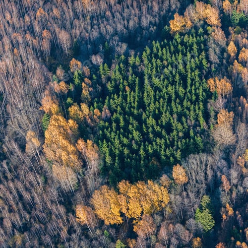 Preview: Aerial View Over The Colourful Trees And Fields In Autumn