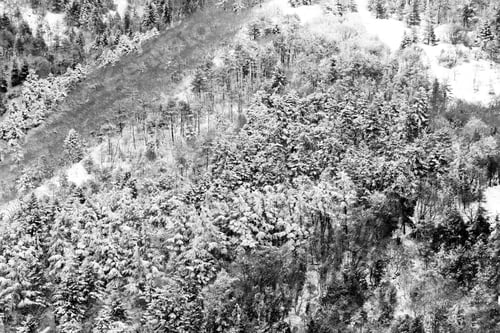 Preview: Aerial View Of Trees Covered By Snow In A Forest, On The Side Of Subasio Mountain (Umbria)