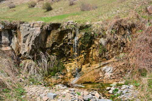 Preview: Landscape With Wild Brook