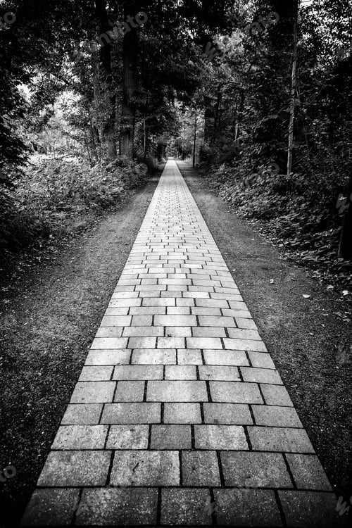 Preview: Cobblestone Road In The Forest, Pedestrian Walk Detail, Nature In The Forest