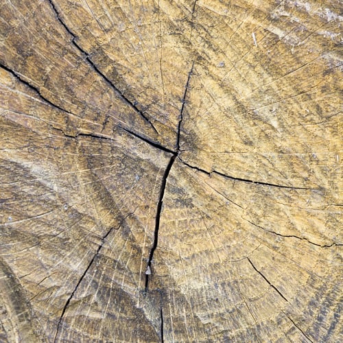 Preview: Wood Texture From Tree Trunks With Scratches And Cracks