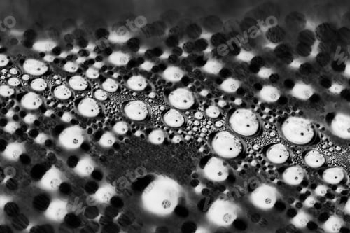 Preview: Black And White Water Drops Inside The Greenhouse - Condensation On Plastic Surface - Inverted
