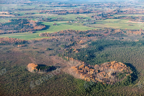 Preview: Aerial View Over The Fields And Forest In Autumn