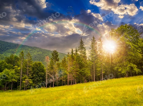 Preview: Slope Of Mountain Range With Coniferous Forest In Fog With Rainbow In Evening Light