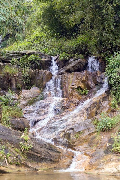 Preview: Mountain Forest Waterfall Landscape, Natural Travel Background, Ecology Park