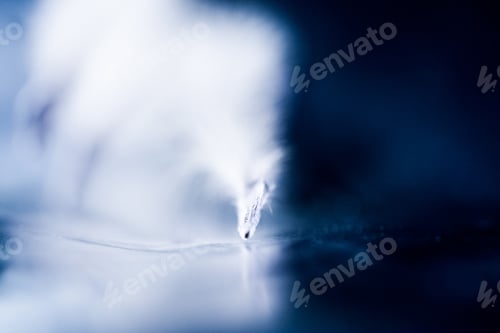 Preview: Abstract Composition With Dried Clematis Seeds And Light